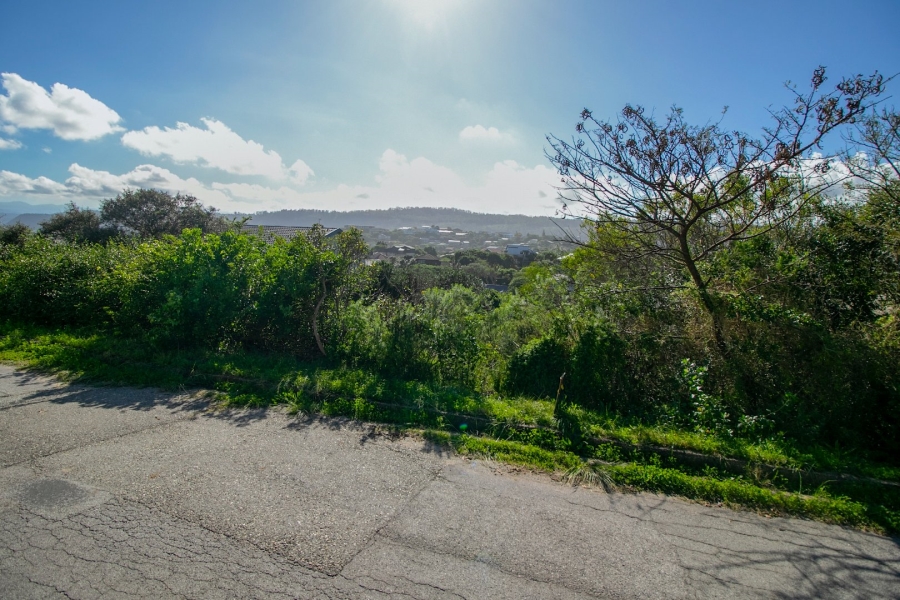 Commercial Property for Sale in Kingfisher Creek Western Cape